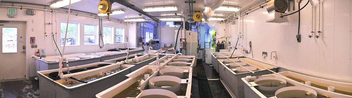 OceansAlaska Outdoor Finishing Systems and Marine Environment